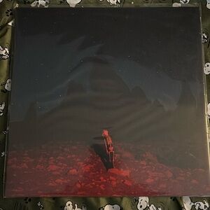 Phoebe Bridgers Punisher Vinyl